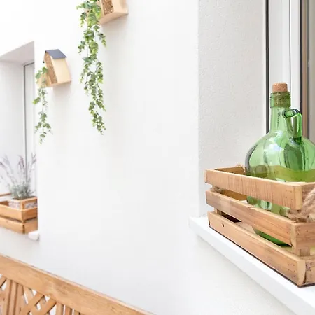 Stellae Luscofusco Σαντιάγο ντε Κομποστέλα