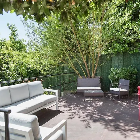 Stellae Luscofusco * Σαντιάγο ντε Κομποστέλα