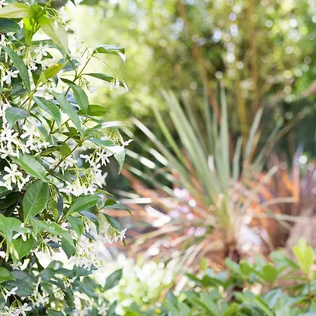 Stellae Luscofusco Hostal