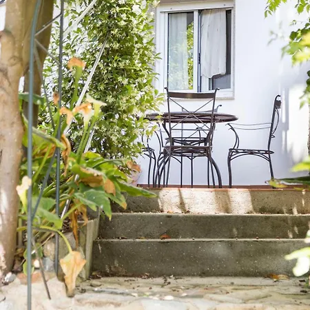 Stellae Luscofusco * Santiago de Compostela