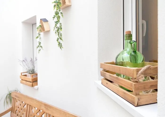 Stellae Luscofusco Saint-Jacques-de-Compostelle