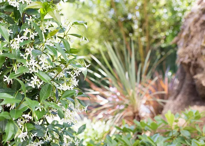 Stellae Luscofusco Auberge de jeunesse